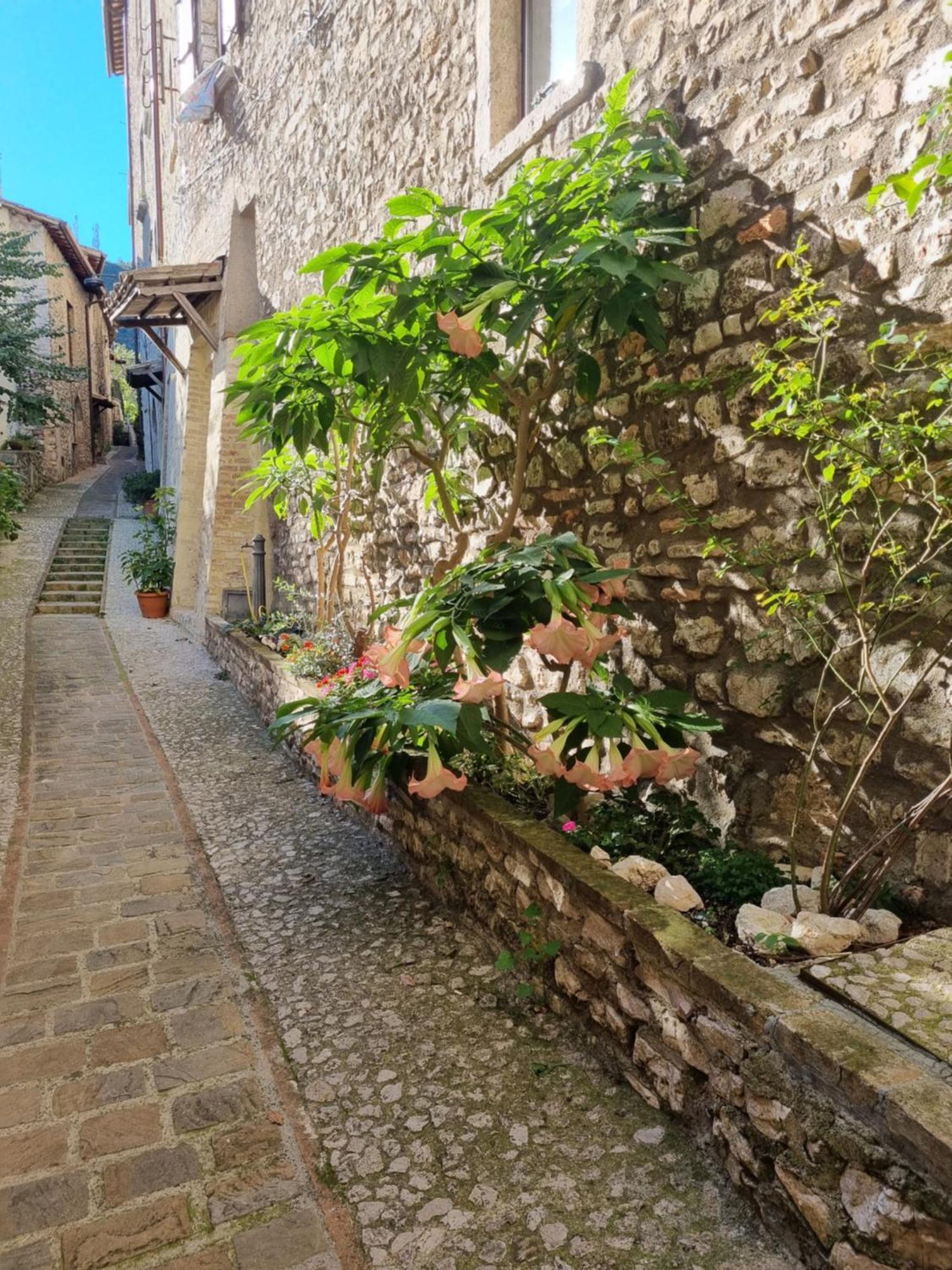 Cuore Del Castello Arrone Kültér fotó